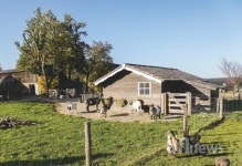 사회성 키우기 제격…동물은 즐거움 주는 것 이상의 역할