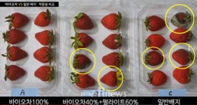 [기획] 바이오차의 효과와 연구 사례는