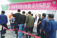 청송영양축협, 청하누 홍보·할인판매 성황