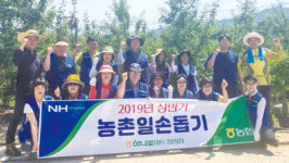 농협하나로마트 창원점, 사과 농가 일손돕기 구슬땀