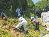 농협강원본부, 깨끗한 축산농장, 방취림 조성사업 실시