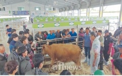 한우 번식농가 대상 효율적 번식관리 교육