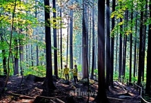 일상 탈출 힐링 숲 걷기