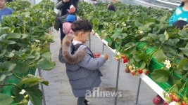 [기획연재] STAR 청년농업인을 찾아서 (8) 민재호 하하팜 대표