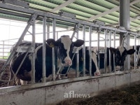 [청년축산인 특집] (1) 밀키웨이목장