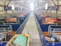 [기획] 축산냄새 저감방안 현장에서 답을 찾다