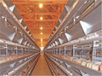 [AFL SPECIAL] 2019 축산기자재 열전 - (1)축산기계·자재