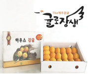 [탐방]제주농협조합공동사업법인