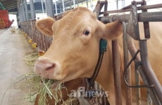 [기획연재] STAR 청년농업인을 찾아서 ⑭ 김진용 미소밸리 대표