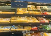 [특별기획] 식품의 메카, 미국을 가다 세분화된 축산물, 선택의 폭 넓어