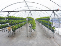 [AFL Special] 2019 김제농업기계박람회 (5)