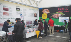 돼지고기 소비촉진 큰 장터…할인행사 호응