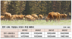 [2020 신년특집] 2020년 축종별 전망-① 한우·돼지