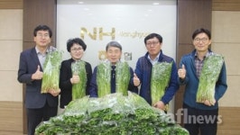 제철 맞은 미나리 소비운동 동참