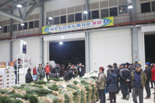 [르포] 남촌농산물도매시장을 가다