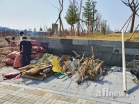 농협경북본부, 도청신도시 유휴지 환경정비 나서