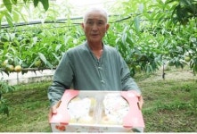 송학농장 김창형 부부 은퇴 후 귀농해 조생종 복숭아 생산