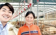 [특별인터뷰] 도드람안성축산물공판장 최고단가 기록, 김수자 씨의 비결은