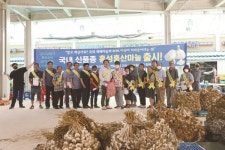 홍성군, 클로로필 함유 국산 홍산마늘 홍보