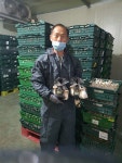 [탐방]버섯누리 영농조합법인