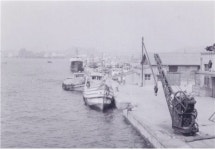[기획] 위기의 원양어업, 활로는