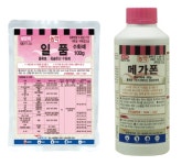 [기획] 장마 뒤 찾아오는 불청객, 무름병 방제 노하우