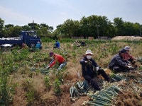 [Issue+] 일자리로 도농상생의 미래를 연다