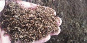 [탐방]계전목장