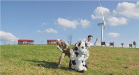 우유자조금, 온라인 도심 속 목장 나들이 시선 집중