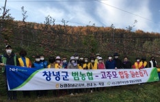 농협창녕군지부-고주모창녕군연합회, 합동 사과 수확 일손 돕기