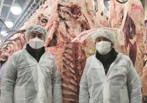  합천군, 1.2톤 넘는 슈퍼한우 탄생