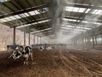 [탐방] 동복목장