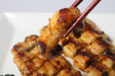 장어 가격 반값으로 하락, 지금이 먹을 기회