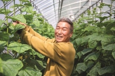 [현장] 나는 스마트팜으로 생산해 라이브커머스로 판다