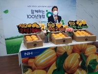 농협경북본부, 라이브커머스 동참… 실시간 성주참외 판매