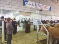 보령시, 축협과 맞손...한우명품화 나서