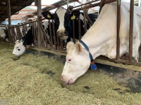 [이슈현장] 농수축산신문이 달려갑니다 생산성 향상 도와주세요