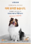대한수의사회, 유리벳코리아와 함께 반려동물 건강검진 캠페인 나서
