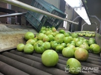 [현장] 주 52시간 근무제 시행 보름 앞으로...농업현장 준비됐나?