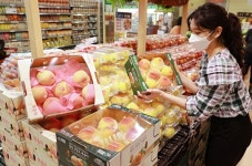 롯데마트, 복숭아 여름과일 판매 1위