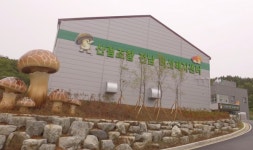 산림조합중앙회 광주전남지역본부(4종) | 산림조합 광주전남본부, 배지버섯 재배체험 기술지원사업 실시