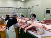 [연중기획] 우리 지역의 히든농장을 소개합니다 (7) 경북 영주 전통한우