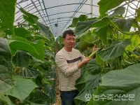 [Interview] 김병재 늘푸른오이농장 대표