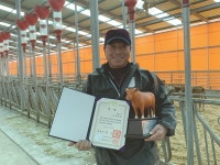 [Issue+] 한우, 암소 개량에서 경쟁력을 찾다