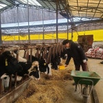 [신년특집] 대한민국의 농업 미래, 나에게 있다 ②축산 관련 (예비)청년농에게 듣는다