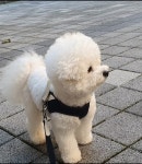 아산시, 동물복지지원센터 신축 첫 삽