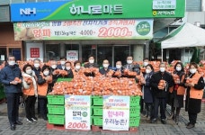 서울 관악농협, 양파 소비촉진에 앞장