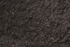 [Issue+] 바이오차, 가축분뇨 처리 방안으로 급부상