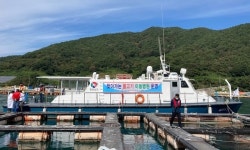 경상남도 수산안전기술원, 저수온 주의보 해제에 따른 양식어류 질병 관리 집중