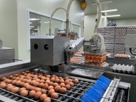 양계협회, 식용란선별포장업장 단속 반대...제도 재검토 이뤄져야